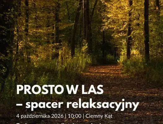 Leśna kąpiel i gimnastyka kręgosłupa – 4 października w Ciemnym Kącie