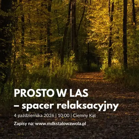 Leśna kąpiel i gimnastyka kręgosłupa – 4 października w Ciemnym Kącie
