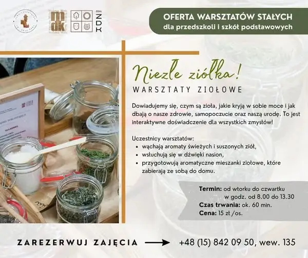 Warsztaty „Niezłe ziółka!” w Stalowej Woli – jesienny sezon startuje 6 października