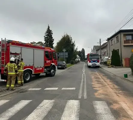 Plama ropopochodna na jezdni w Krzanowicach – akcja strażaków