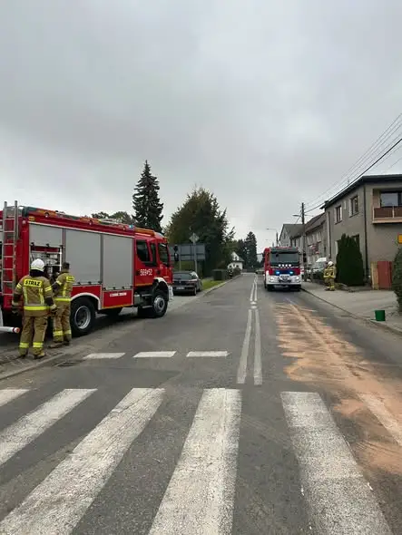 Plama ropopochodna na jezdni w Krzanowicach – akcja strażaków