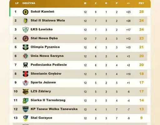 Stalowowolska Klasa Okręgowa: Sokół Kamień liderem po 12. kolejce