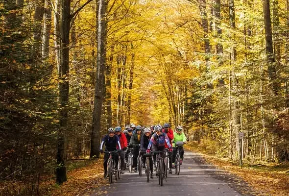 IV Żurawinowy Rajd Rowerowy – 50 km przez jesienne lasy wokół Gielni