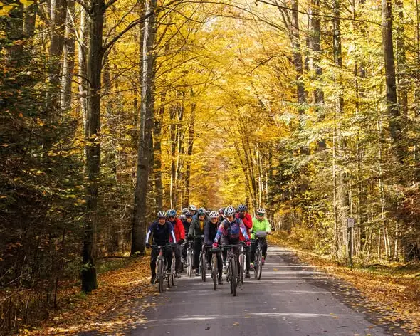 IV Żurawinowy Rajd Rowerowy – 50 km przez jesienne lasy wokół Gielni